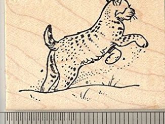 Bobcat Rubber Stamps