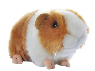 Guinea Pig Stuffed Animals