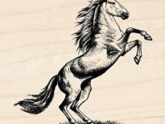 Horse Rubber Stamps