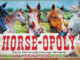 Horse-Opoly the game for people who love horses