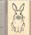Rabbit Rubber Stamps