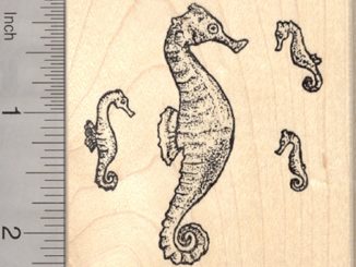 Seahorse Rubber Stamps