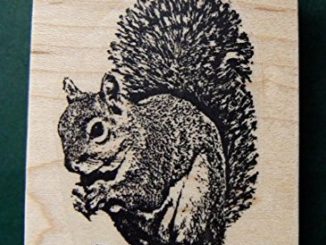 Squirrel Rubber Stamps