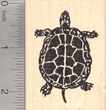 Turtle Rubber Stamps - Kritters in the Mailbox Turtle Items